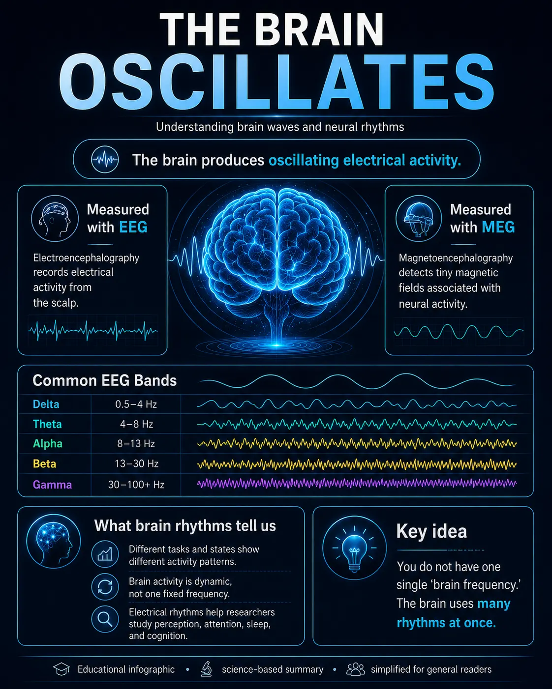 Infographic: the brain oscillates, showing EEG and MEG measurement and the delta, theta, alpha, beta and gamma frequency bands